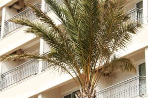 turkiye/izmir/cesme/oglakcioglu-cesme-hotel-1189032.jpg