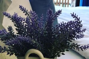 turkiye/izmir/cesme/pupa-alacati-butik-otel_97bbfd25.jpg
