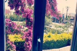 turkiye/izmir/cesme/radikaotel_3e812b3c.jpg