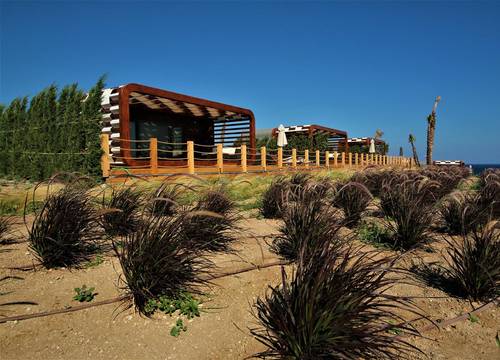 turkiye/izmir/cesme/soul-of-alacati-beach-resort_b5c5238d.jpg
