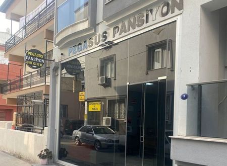 turkiye/izmir/cigli/pegasus-boutique-hotel_3f4e624b.jpg