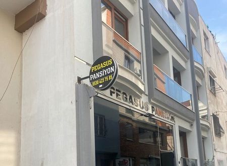 turkiye/izmir/cigli/pegasus-boutique-hotel_5ce63366.jpg