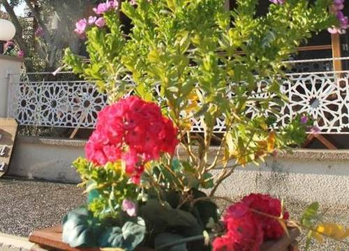 turkiye/izmir/dikili/lila-boutique-hotel-cea43f17.png