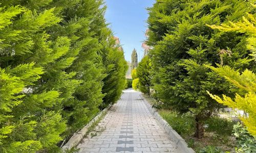 turkiye/izmir/foca/be-villa_0ba9b104.png