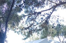 turkiye/izmir/foca/foca-dome-glamping-suits_a75e4c91.jpg