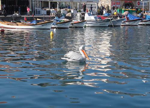 turkiye/izmir/foca/foca-kumsal-hotel_3f9caf01.jpg