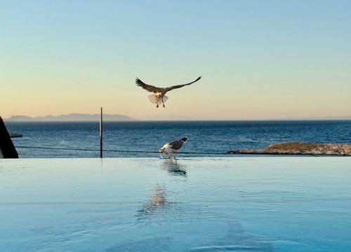 turkiye/izmir/karaburun/miromara-hotel-karaburun_2feb4bc5.jpg