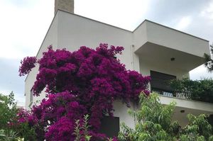 turkiye/izmir/karaburun/tatil-evi_087ace5b.jpg