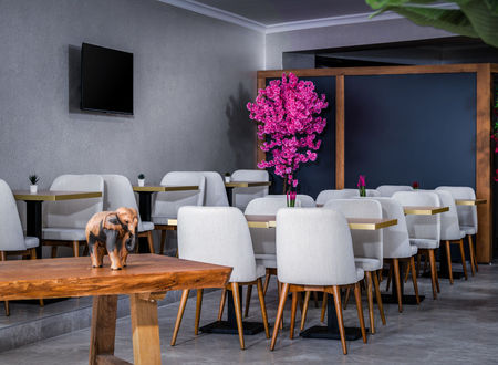 turkiye/izmir/karsiyaka/sh-hotel_335b13e1.jpg