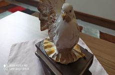 turkiye/izmir/konak/4a8277f063654532a3962e70a1e6268f004be9453e01449d97b0b82a5ba70053.jpg