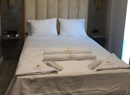turkiye/izmir/konak/talles-city-hotel_0badfea9.jpg