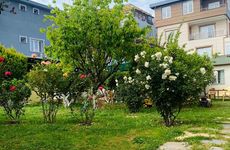 turkiye/izmir/menderes/mandarin-beach-otel-ve-restaurant_ff3a7b5b.jpg