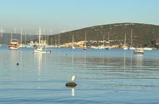 turkiye/izmir/seferihisar/felicitta_ab94aca3.jpg