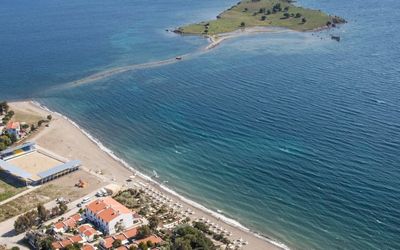 Teos Ormancı · 3