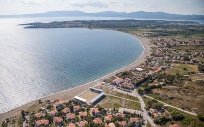 Teos Ormancı · 2
