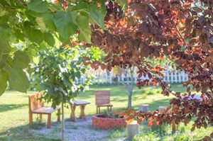 turkiye/izmir/seferihisar/ventus-kucuk-otelglamping_f26110cc.jpg