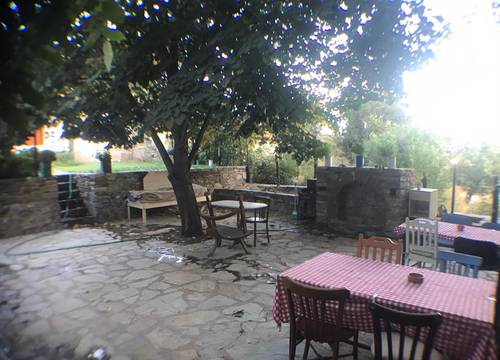 turkiye/izmir/selcuk/alice-pansiyon_dad2cce9.jpg