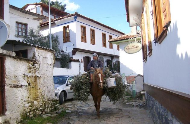 turkiye/izmir/selcuk/dionysos-pansiyon_c91fb7c9.jpg