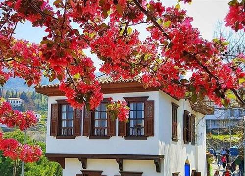 turkiye/izmir/selcuk/doktorun-evi-deluxe-boutique-hotel-be92b3f7.png