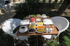 turkiye/izmir/selcuk/ephesus-paradise-boutique-hotel_3127d1a6.jpg