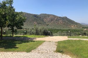 turkiye/izmir/selcuk/natureland-efes-pansiyon_65e52f34.jpg