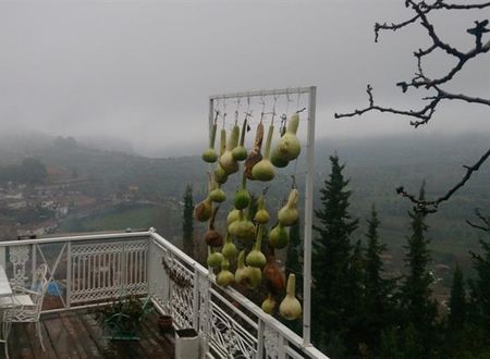 turkiye/izmir/selcuk/nisanyan-evleri-hotel-1612907895.jpg