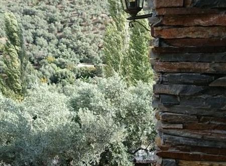 turkiye/izmir/selcuk/sirince-klaseas-butik-otel-c2a2e7fd.jpg