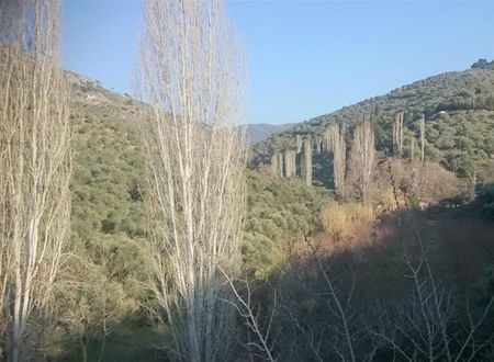 turkiye/izmir/selcuk/sirince-klaseas-butik-otel-c685c2ba.jpg