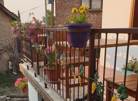 turkiye/izmir/selcuk/sirinev-pansiyon_38c382e1.jpg