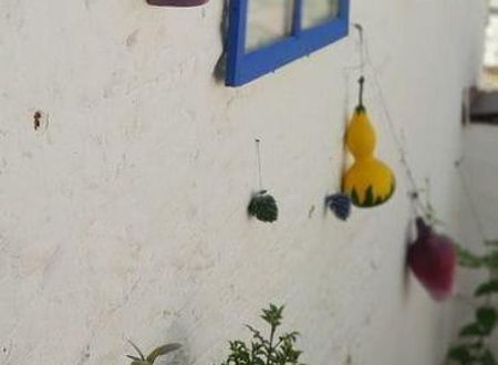 turkiye/izmir/selcuk/sirinev-pansiyon_86734c37.jpg