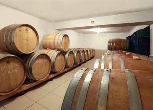 turkiye/izmir/selcuk/vinifera-hotel-yedibilgeler-vineyards-1b5948ed.jpg