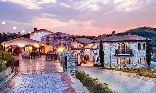 turkiye/izmir/selcuk/vinifera-hotel-yedibilgeler-vineyards-1ee844d5.jpg