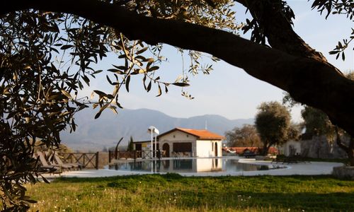 turkiye/izmir/selcuk/vinifera-hotel-yedibilgeler-vineyards-692157c8.jpg