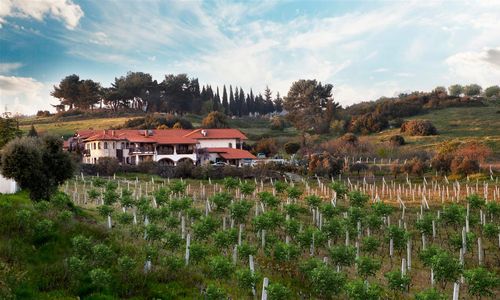 turkiye/izmir/selcuk/vinifera-hotel-yedibilgeler-vineyards-7954a3f7.jpg