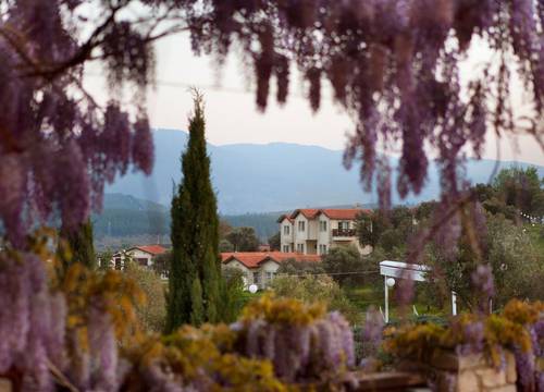 turkiye/izmir/selcuk/vinifera-hotel-yedibilgeler-vineyards-7c92ab72.jpg