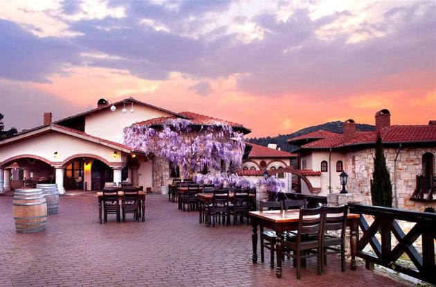 turkiye/izmir/selcuk/vinifera-hotel-yedibilgeler-vineyards-d8f4f770.jpg
