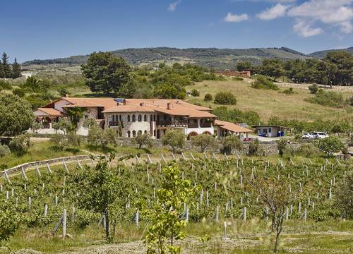 turkiye/izmir/selcuk/vinifera-hotel-yedibilgeler-vineyards_9da70a18.jpg