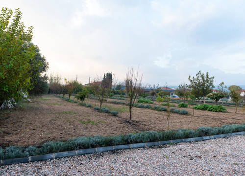 turkiye/izmir/urla/bi-masa-gastro-farm_db310516.jpg