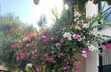 turkiye/izmir/urla/loris-rooms-butik-otel_26c54f77.jpg
