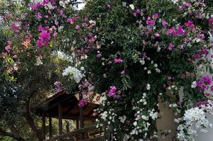 turkiye/izmir/urla/loris-rooms-butik-otel_bf82e2d8.jpg