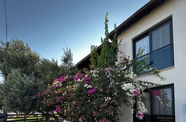 turkiye/izmir/urla/loris-rooms-butik-otel_f92bce05.jpg