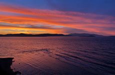turkiye/izmir/urla/mavi-yaka-pansiyon-4a7b14d7.jpg