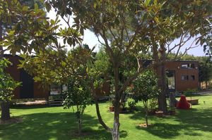 turkiye/izmir/urla/sakiz-tiny-house-apart_9fe407fe.jpg