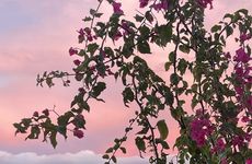 turkiye/izmir/urla/villa-polikne-otel-restoran_f9a237a8.jpg