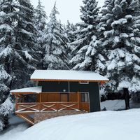 Başkonuş Yaylası Orman Evleri