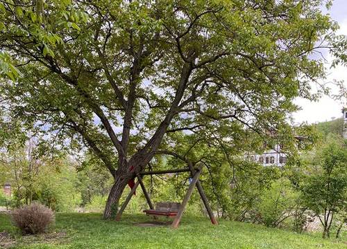 turkiye/karabuk/safranbolu/asya-garden-konak-otel_732a185a.jpg