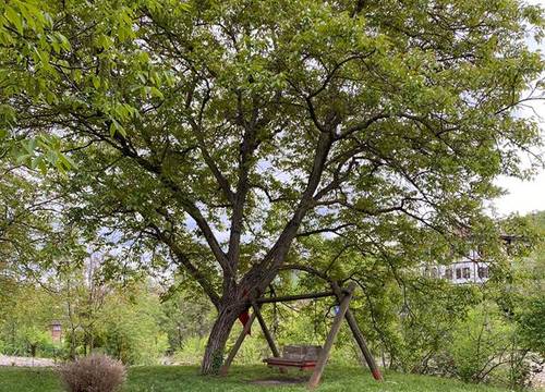 turkiye/karabuk/safranbolu/asya-garden-konak-otel_8ba334a1.jpg