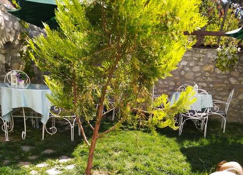 turkiye/karabuk/safranbolu/badeli-konak-boutique-hotel-d80245bd.jpg