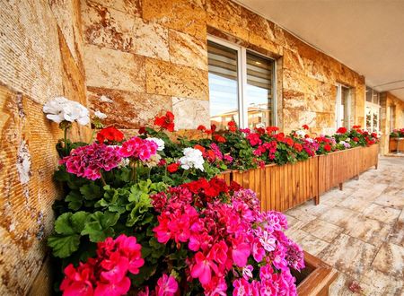 turkiye/karabuk/safranbolu/germia-uni-hotel-e1573968.jpg