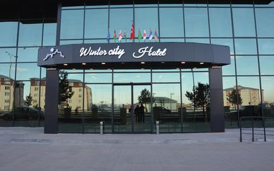 Winter City Hotel · 3